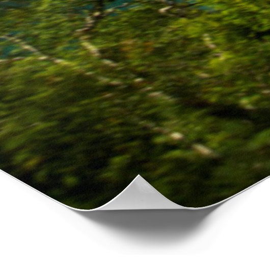 Lake Floen schilderachtig, Noorwegen Poster (Hoek)