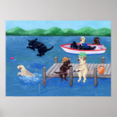 Lake Fun Labradors Poster (Voorkant)