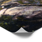 Lake George New York Paradise Bay Poster (Hoek)