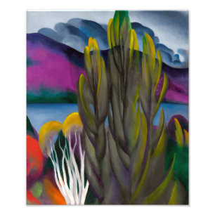 Lake George White Birch Georgië O'keeffe Foto Afdruk