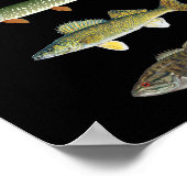 Lake Goals Fishing Musky Pike Walleye Small Mouth  Poster (Hoek)