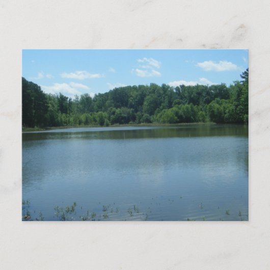 Lake Greenwood Cove Briefkaart (Voorkant)