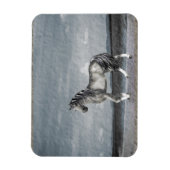 Lake Guardian Vinyl Magnet Magneet (Verticaal)