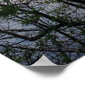 Lake Hartwell Mountain Lake Sunset Poster (Hoek)