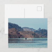 Lake Havasu Briefkaart (Voorkant / Achterkant)