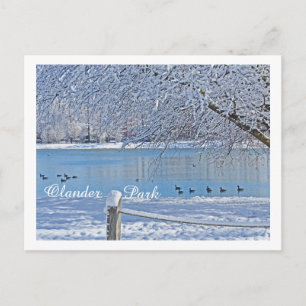 LAKE IN WINTER / OLANDER PARK, SYLVANIA, OH BRIEFKAART