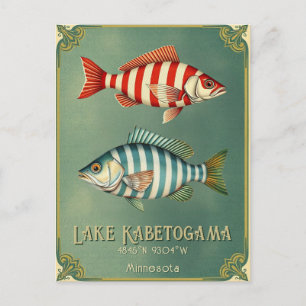 Lake Kabetogama Minnesota scheepspostkaart met vis Briefkaart