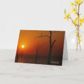 Lake Kariba Kaart (Gele Bloem)