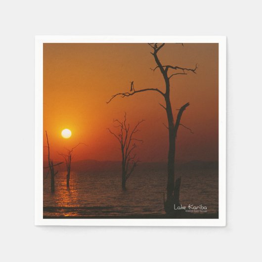 Lake Kariba Servetten (Voorkant)