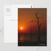 Lake Kariba Sunset Briefkaart (Voorkant / Achterkant)