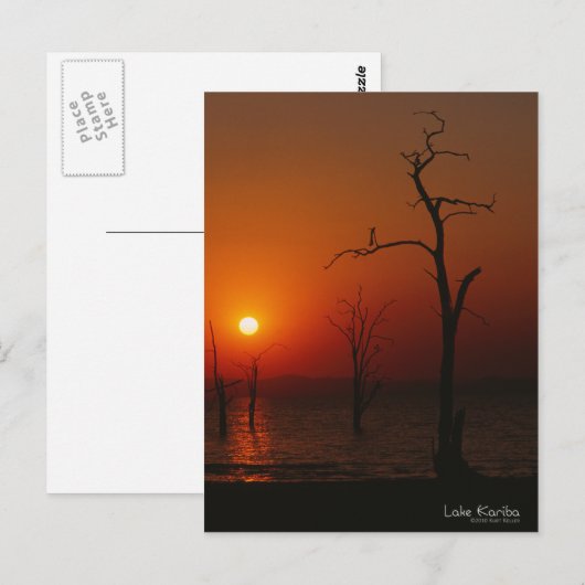 Lake Kariba Sunset Briefkaart (Voorkant / Achterkant)