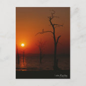 Lake Kariba Sunset Briefkaart (Voorkant)
