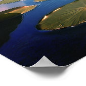 Lake Landschap met Waterbloemen & Roze Wolken | Poster (Hoek)