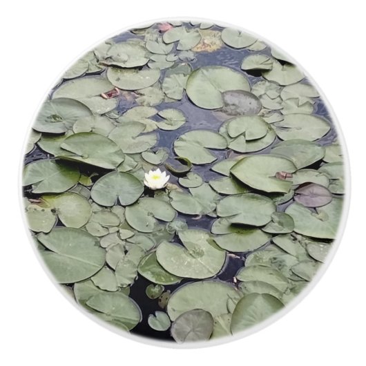 Lake Lily Pad Explosion Keramische Knop (Voorkant)