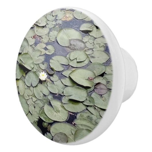 Lake Lily Pad Explosion Keramische Knop (Rechts)