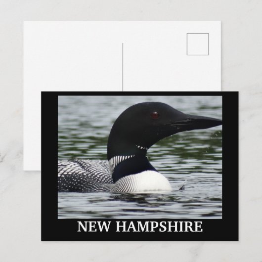 Lake Loon close-up foto Briefkaart (Voorkant / Achterkant)