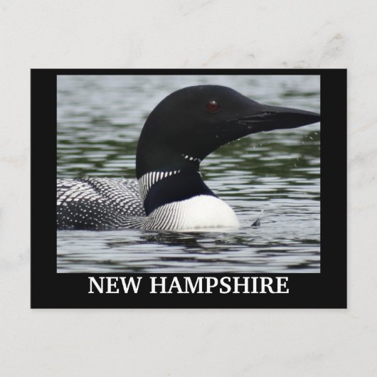 Lake Loon close-up foto Briefkaart (Voorkant)