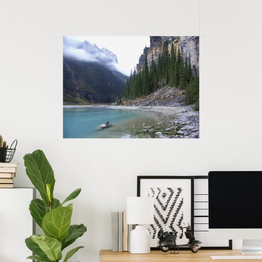 LAKE LOUISE NORTH SHORE POSTER (Thuiskantoor)