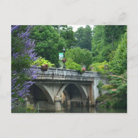 Lake Lure Flowering Bridge North Carolina Foto Briefkaart (Voorkant)
