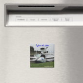 Lake Magnet (Insitu (Vaatwasser))