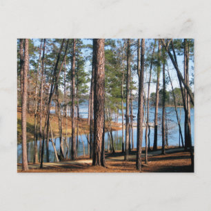 Lake Martin Alabama Meerwand Bos Fotografie Briefkaart