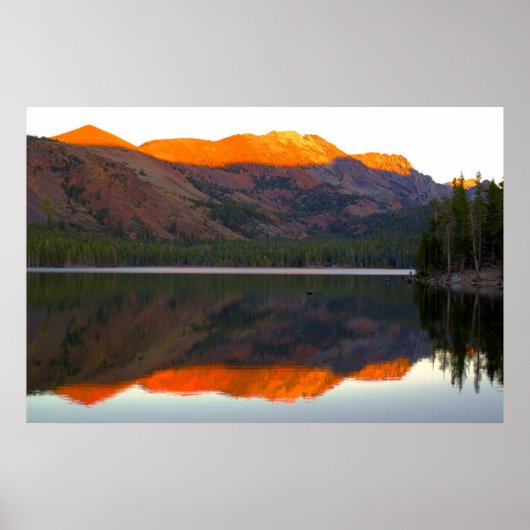 Lake Mary Reflection Poster (Voorkant)