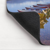 Lake McDonald, Glacier National Park, Montana, Muismat (Hoek)