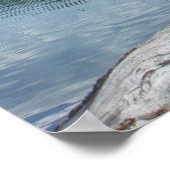 Lake McDonald Glacier Park Poster (Hoek)