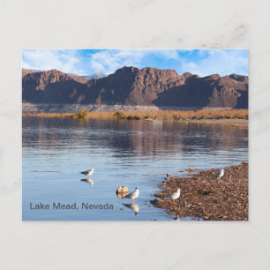 Lake Mead, Boulder Beach, Nevada Briefkaart