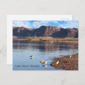 Lake Mead, Boulder Beach, Nevada Briefkaart (Voorkant / Achterkant)