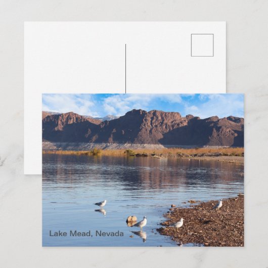 Lake Mead, Boulder Beach, Nevada Briefkaart (Voorkant / Achterkant)