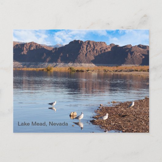 Lake Mead, Boulder Beach, Nevada Briefkaart (Voorkant)