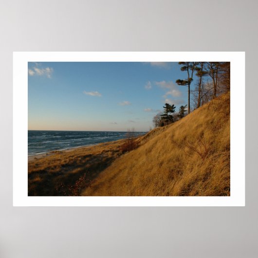 Lake Michigan Beach in Late Herfst Poster (Voorkant)