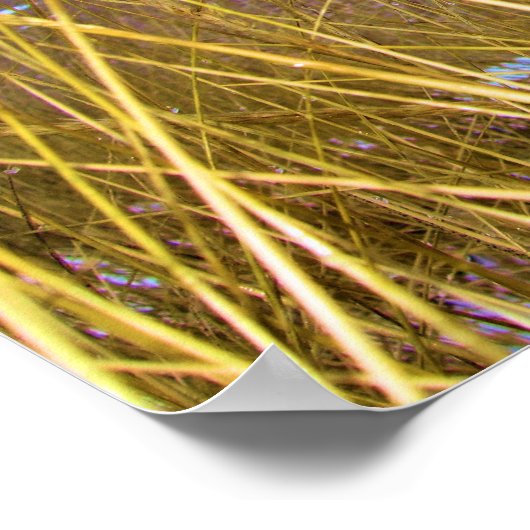 Lake Michigan Dune Grass Poster (Hoek)