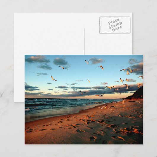 Lake Michigan Gulls Magic Hour Sunset Zeegezicht Briefkaart (Voorkant / Achterkant)
