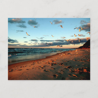 Lake Michigan Gulls Magic Hour Sunset Zeegezicht Briefkaart