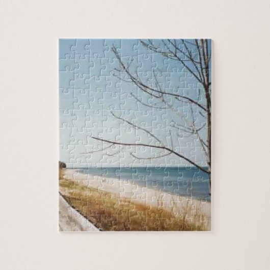 Lake Michigan Legpuzzel (Verticaal)