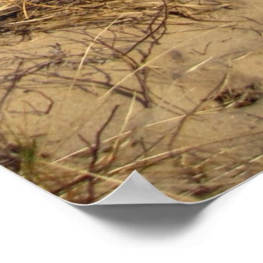 Lake Michigan Poster (Hoek)