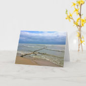 Lake Michigan, Sheboygan, Wisconsin Kaart (Gele Bloem)