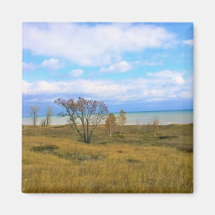 Lake Michigan, Sheboygan, Wisconsin Magneet
