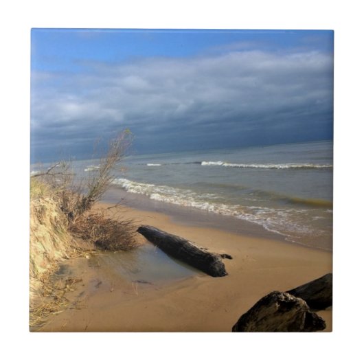 Lake Michigan, Sheboygan, Wisconsin Tegeltje (Voorkant)