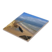 Lake Michigan, Sheboygan, Wisconsin Tegeltje (Zijkant)