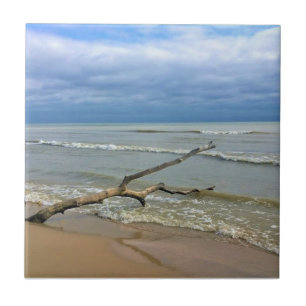 Lake Michigan, Sheboygan, Wisconsin Tegeltje