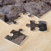 Lake Michigan Shoreline Legpuzzel (Zijkant)