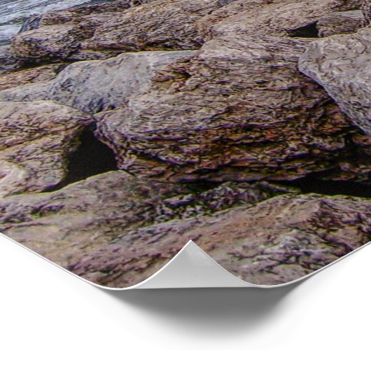 Lake Michigan Shoreline Poster (Hoek)