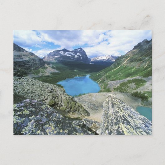 Lake O'Hara, Yoho NP, BC, Canada Briefkaart (Voorkant)
