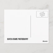 LAKE OZARK BRIEFKAART (Achterkant)