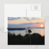 LAKE OZARK FLOWER BRIEFKAART (Voorkant / Achterkant)