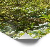 Lake Perfect Poster (Hoek)