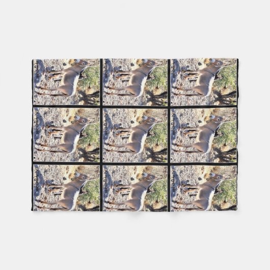 Lake Pleasant Donkey Fleece Blanket (Voorkant (Horizontaal))